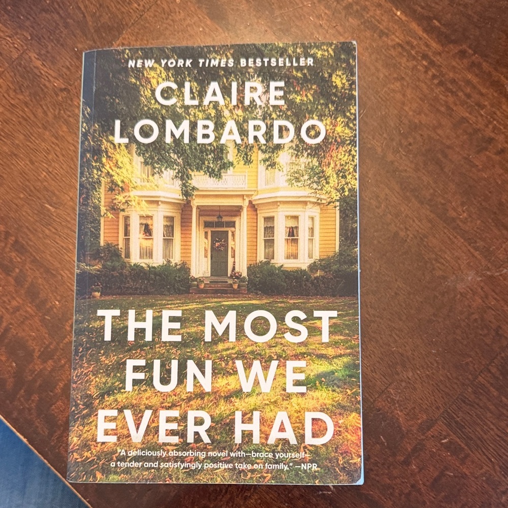 The Most Fun We Ever Had Book